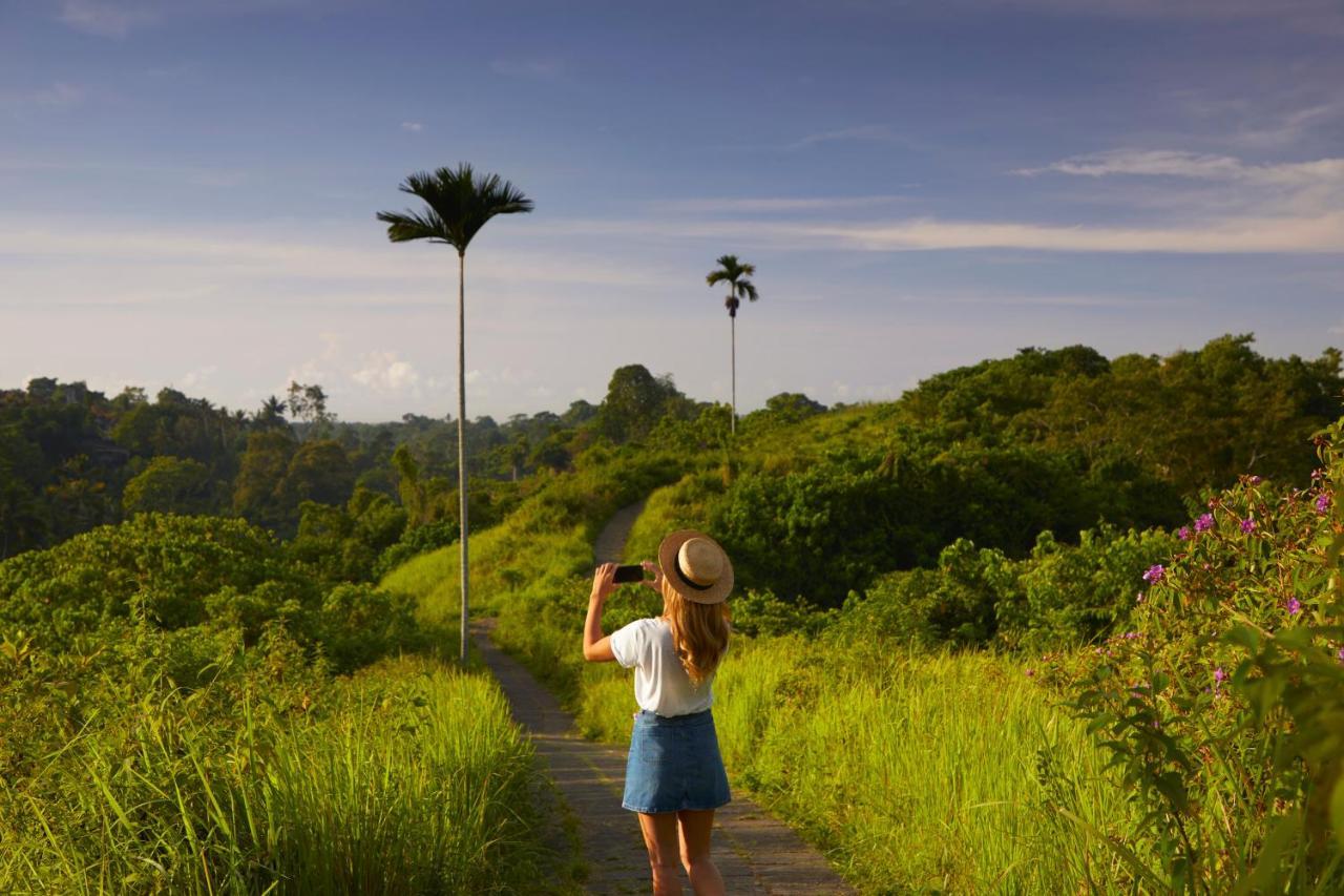 Element Bali Ubud Eksteriør bilde